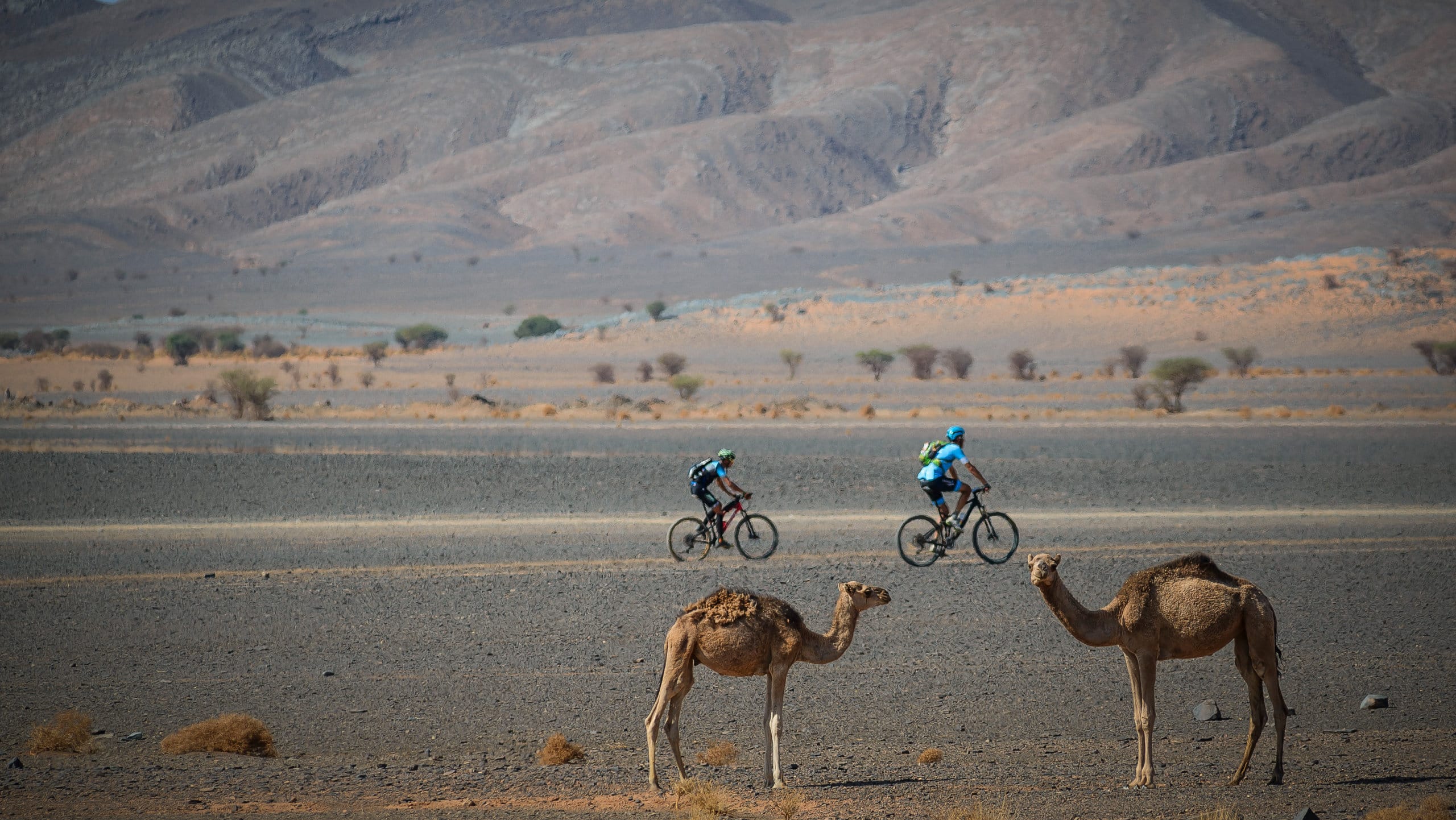 titan desert morocco