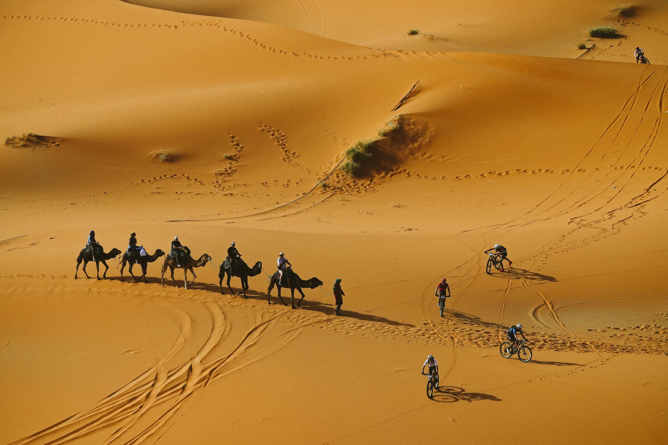titan desert morocco